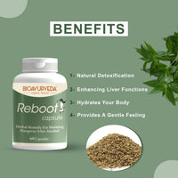 Thumbnail for Reboot Capsule - Get Rid of Hangover