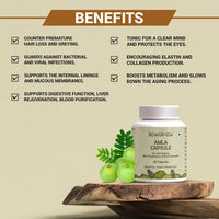 Thumbnail for Amla Capsule benefits