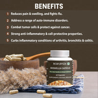 Thumbnail for Boswellia Capsule Benefits