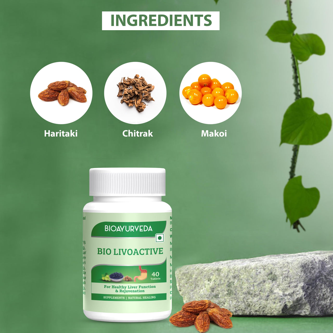 Bio Livoactive Tablet Ingredients