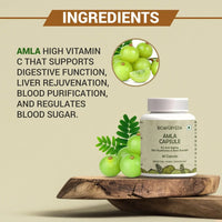 Thumbnail for Amla Capsule Ingredients