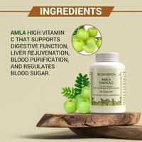 Thumbnail for Ingredients Of Amla Capsule