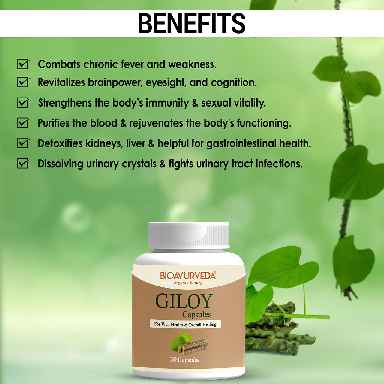 Giloy Capsule, A Poweful Anti- Ageing Herbal Supplement
