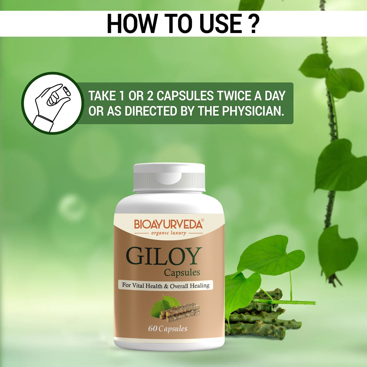 GILOY CAPSULE