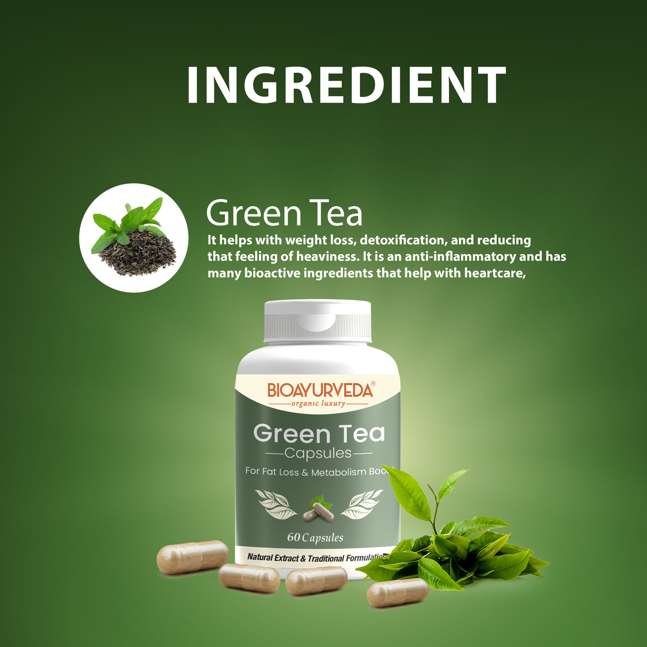 GREEN TEA CAPSULE