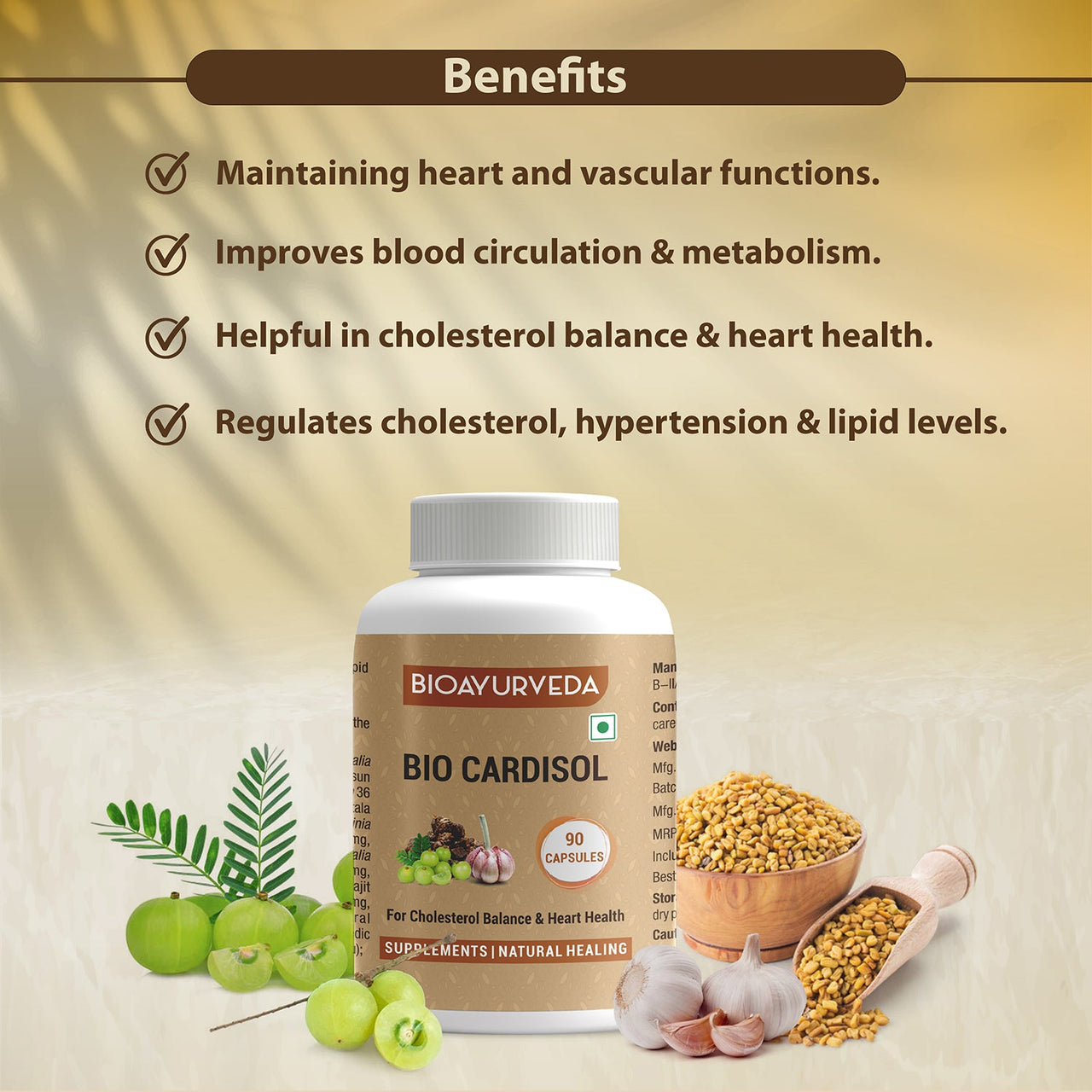 Supplements to Lower Cholesterol | Cholesterol Balance | BIOAYURVEDA
