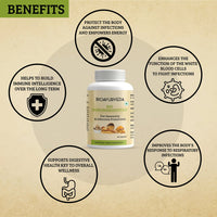 Thumbnail for Benefits Of Immunoboosters Capsule