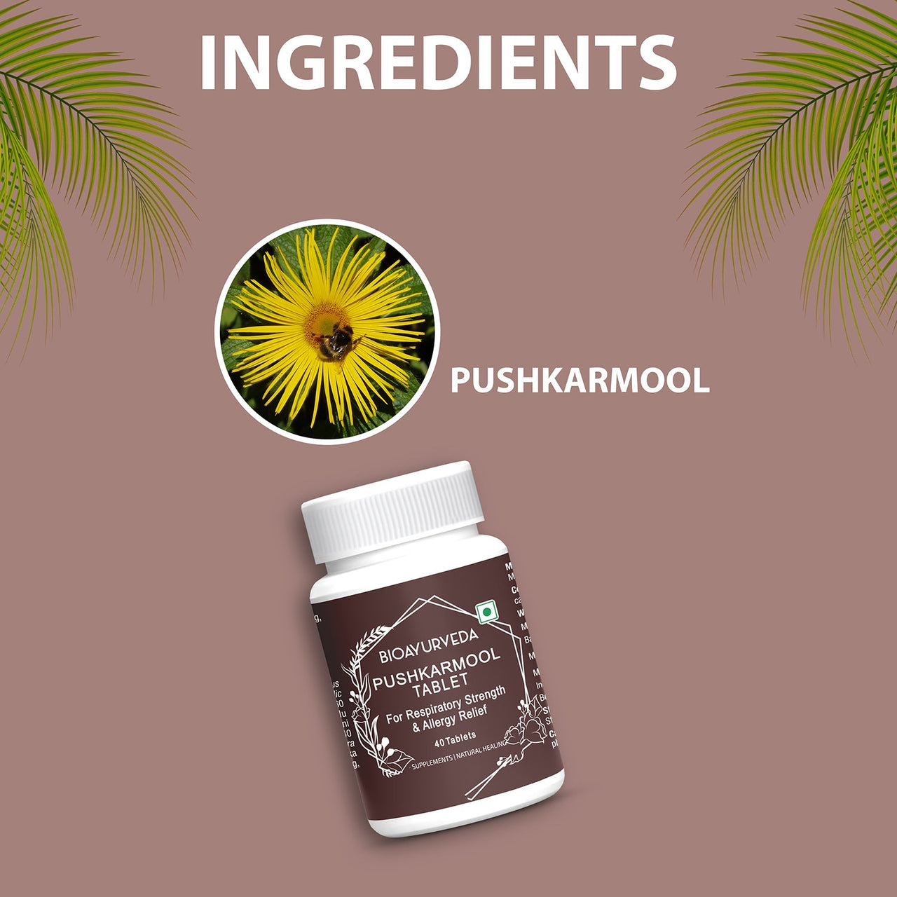 Ingredients Pushkarmool Tablet 40