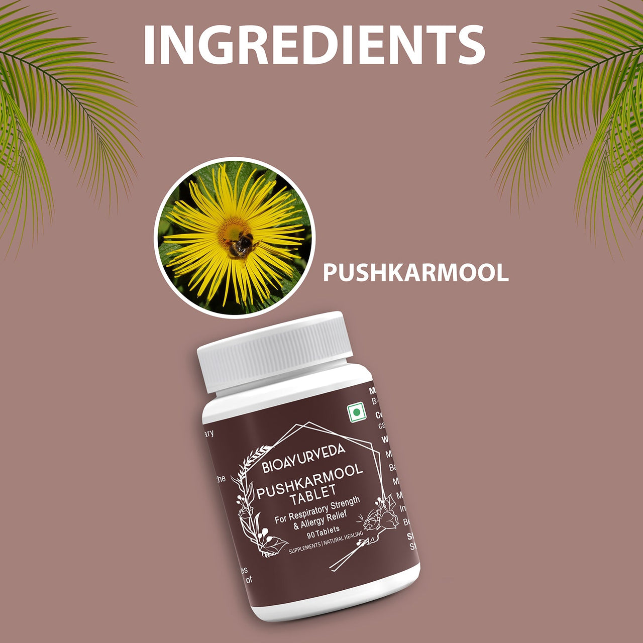 Ingredients Pushkarmool Tablet 90