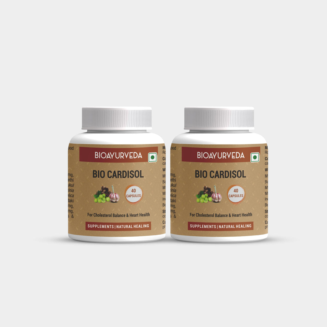 Supplements to Lower Cholesterol | Cholesterol Balance | BIOAYURVEDA